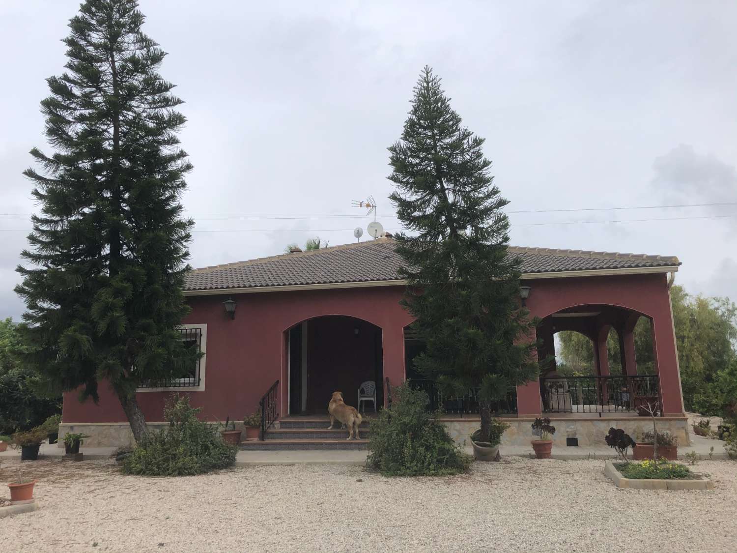 Casa en venda in Callosa de Segura