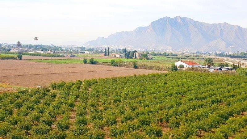 Country Property salgai in Callosa de Segura