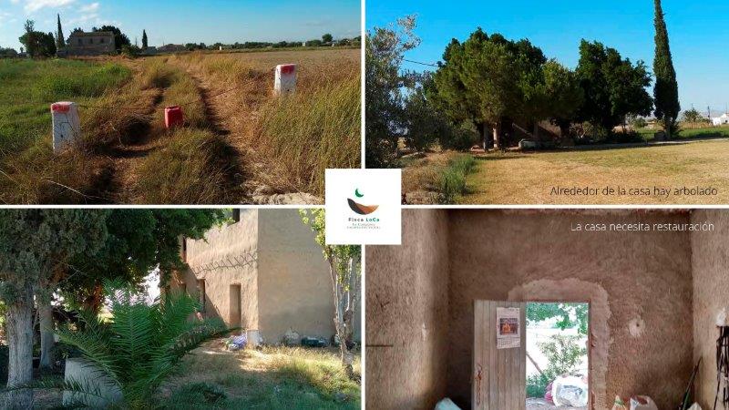 Finca en venta en Callosa de Segura