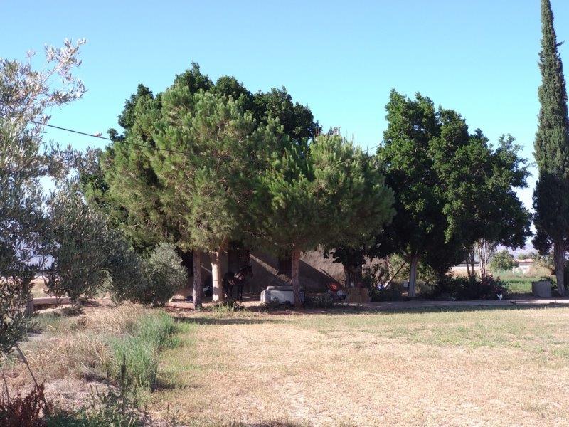 Country Property salgai in Callosa de Segura