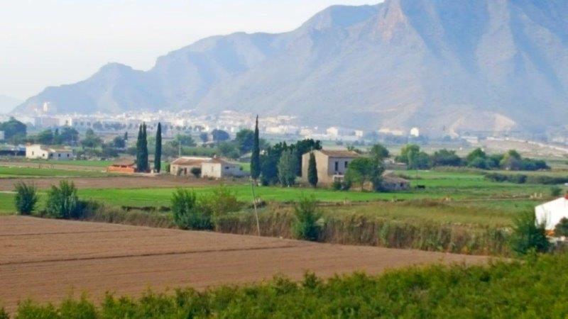 Finca en venta en Callosa de Segura