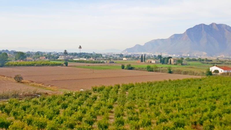 Finca en venta en Callosa de Segura