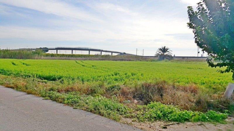 Finca en venta en Callosa de Segura