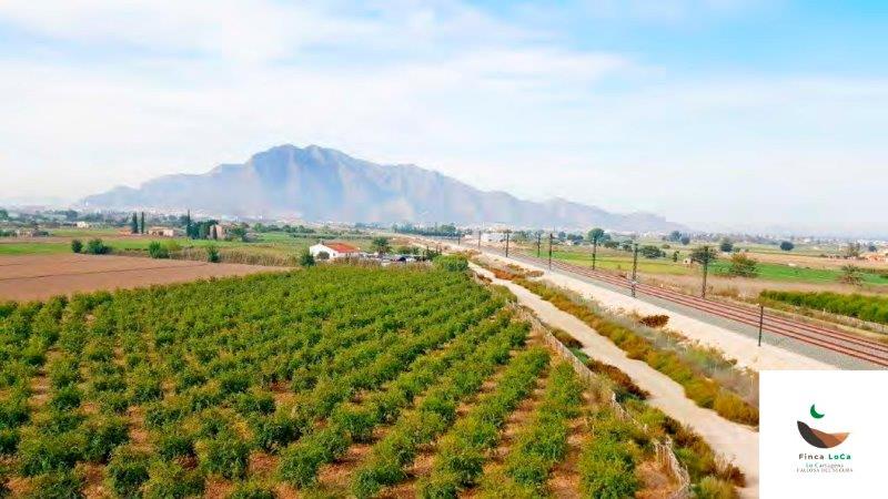 Finca en venta en Callosa de Segura