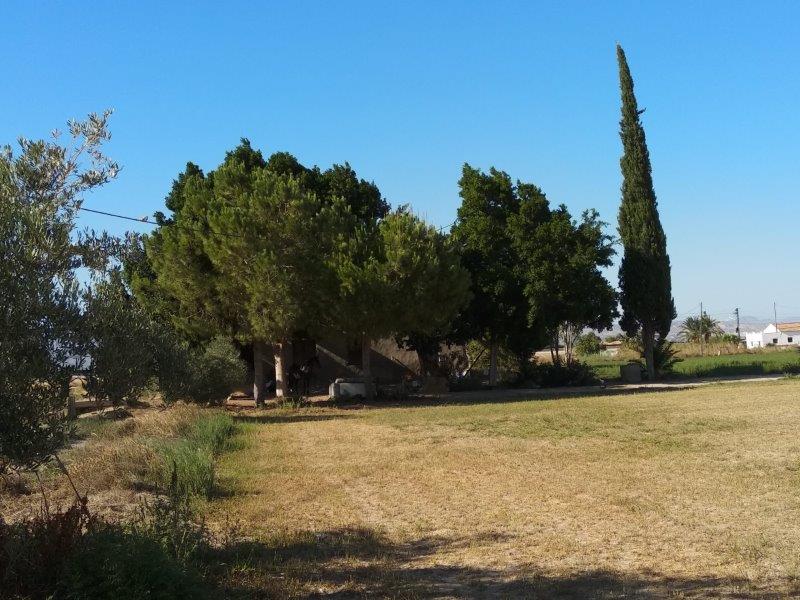 Finca en venta en Callosa de Segura