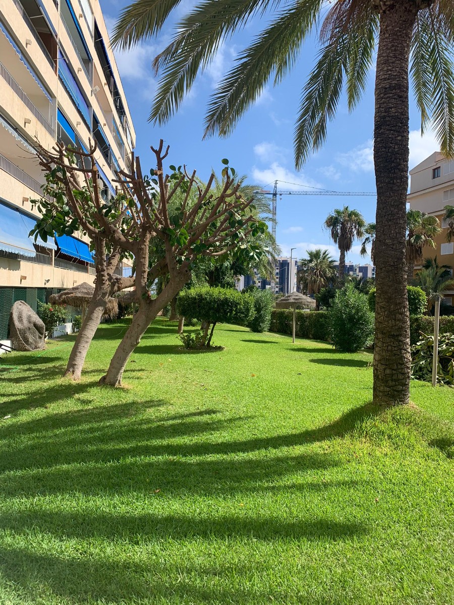 Apartmán v prodeji in Orihuela Costa